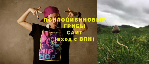 винт Арсеньев