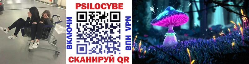 Псилоцибиновые грибы прущие грибы  купить закладку  Новоульяновск 
